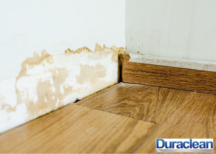 What is the average cost of water damage restoration in Decatur, GA?